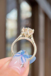 3.02ct D-VS1 Round Lab Diamond Isabela Engagement Rings Princess Bride Diamonds