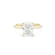 Caraline Cushion High Polish Engagement Rings Princess Bride Diamonds