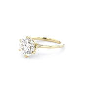 Isabela Round High Polish Engagement Rings Princess Bride Diamonds