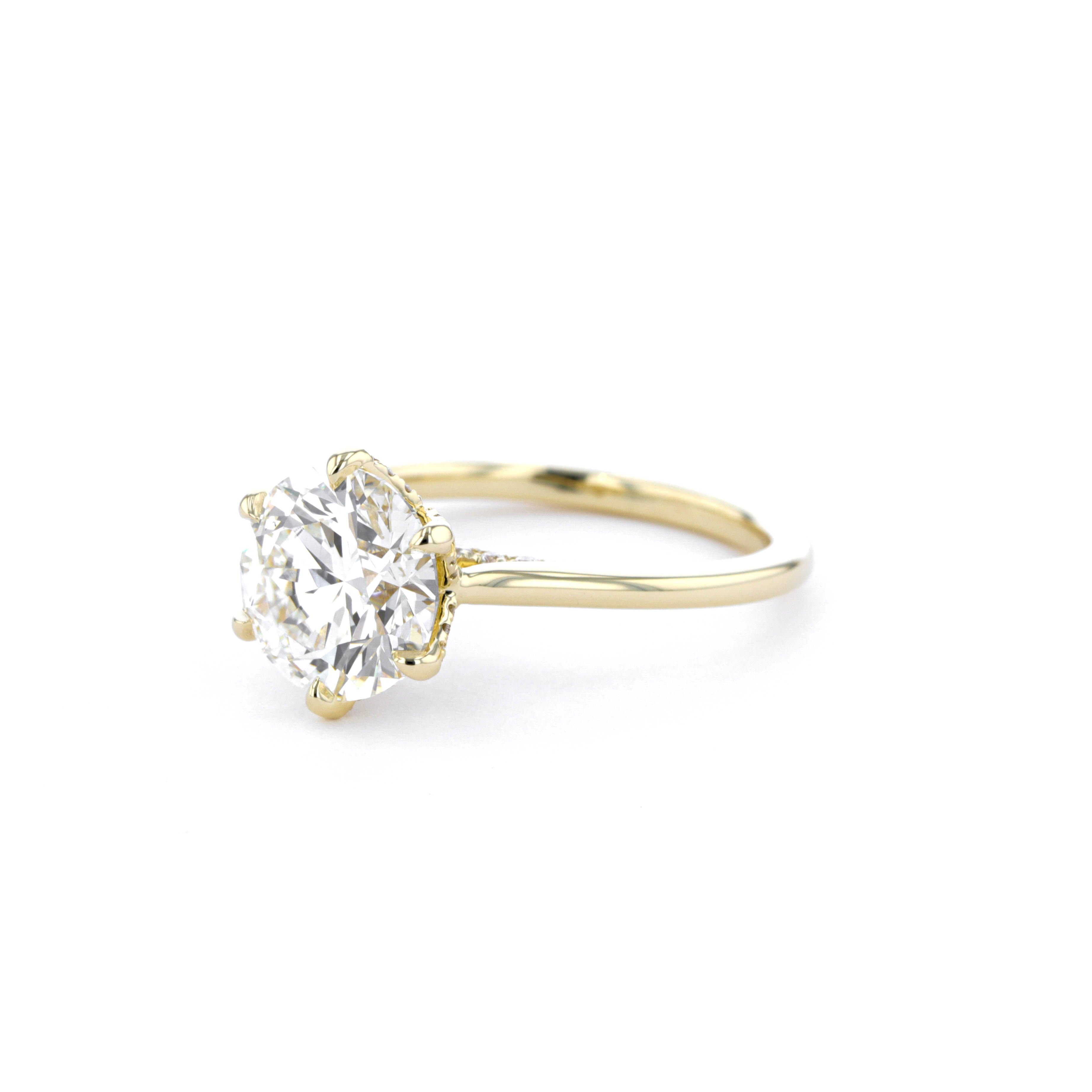 Isabela Round High Polish Engagement Rings Princess Bride Diamonds