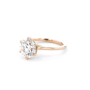 Isabela Round High Polish Engagement Rings Princess Bride Diamonds