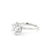 Isabela Round High Polish Engagement Rings Princess Bride Diamonds