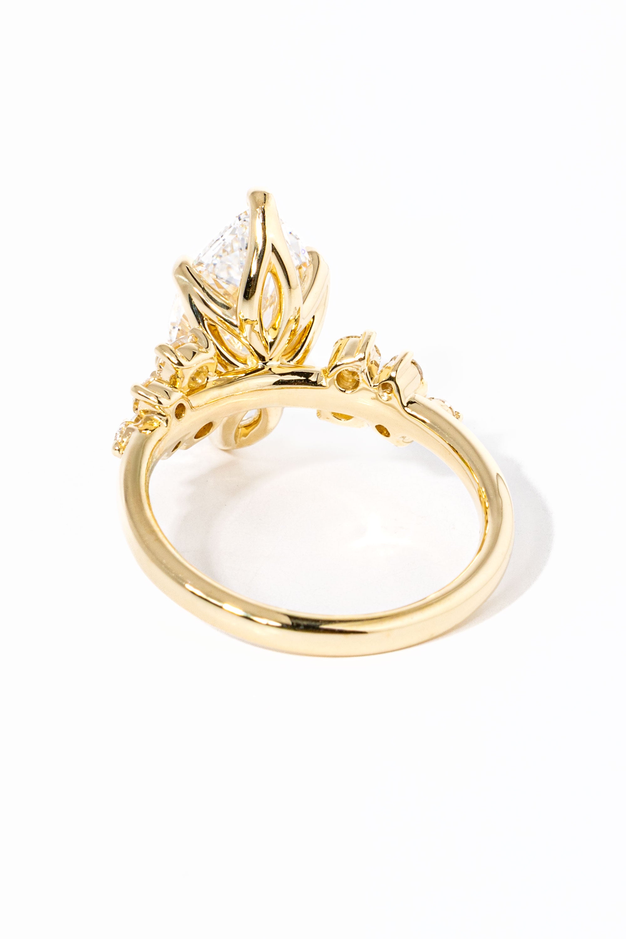 marquise-nova-back_7bdae49c-7809-4e80-8a73-48298e47fb47.jpg