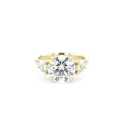Meghan Round Engagement Rings Princess Bride Diamonds
