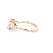 Meghan Round Engagement Rings Princess Bride Diamonds