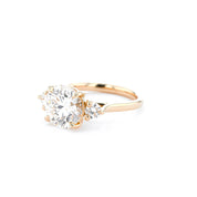 Meghan Round Engagement Rings Princess Bride Diamonds