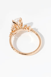 Nova Oval