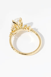 Nova Oval