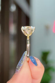 3.01ct D-VS1 Round Lab Diamond Caraline