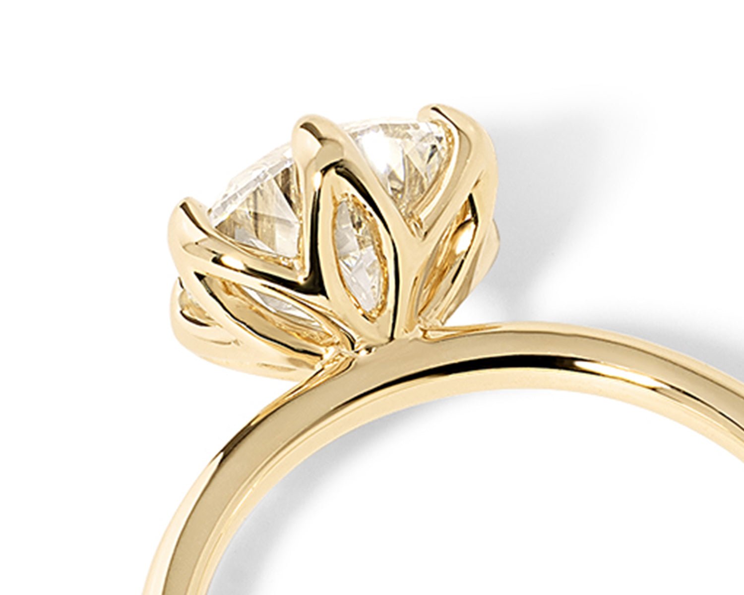 Caraline Engagement Rings - PBD