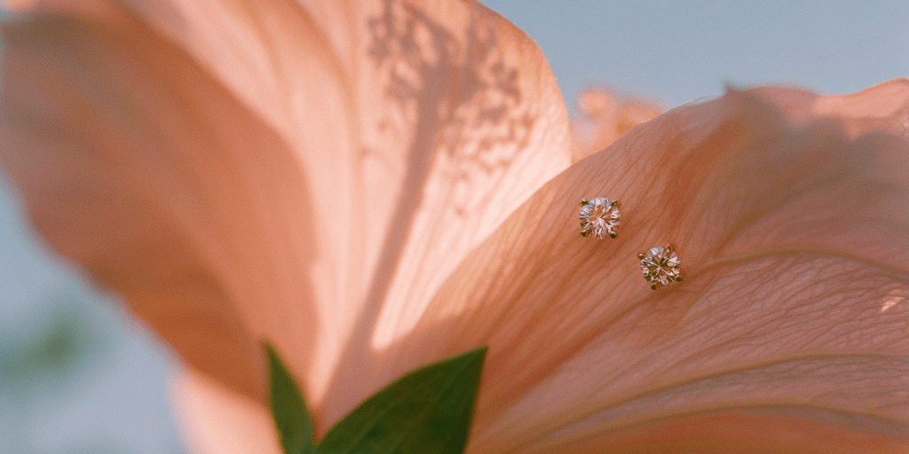 Earrings - PBD