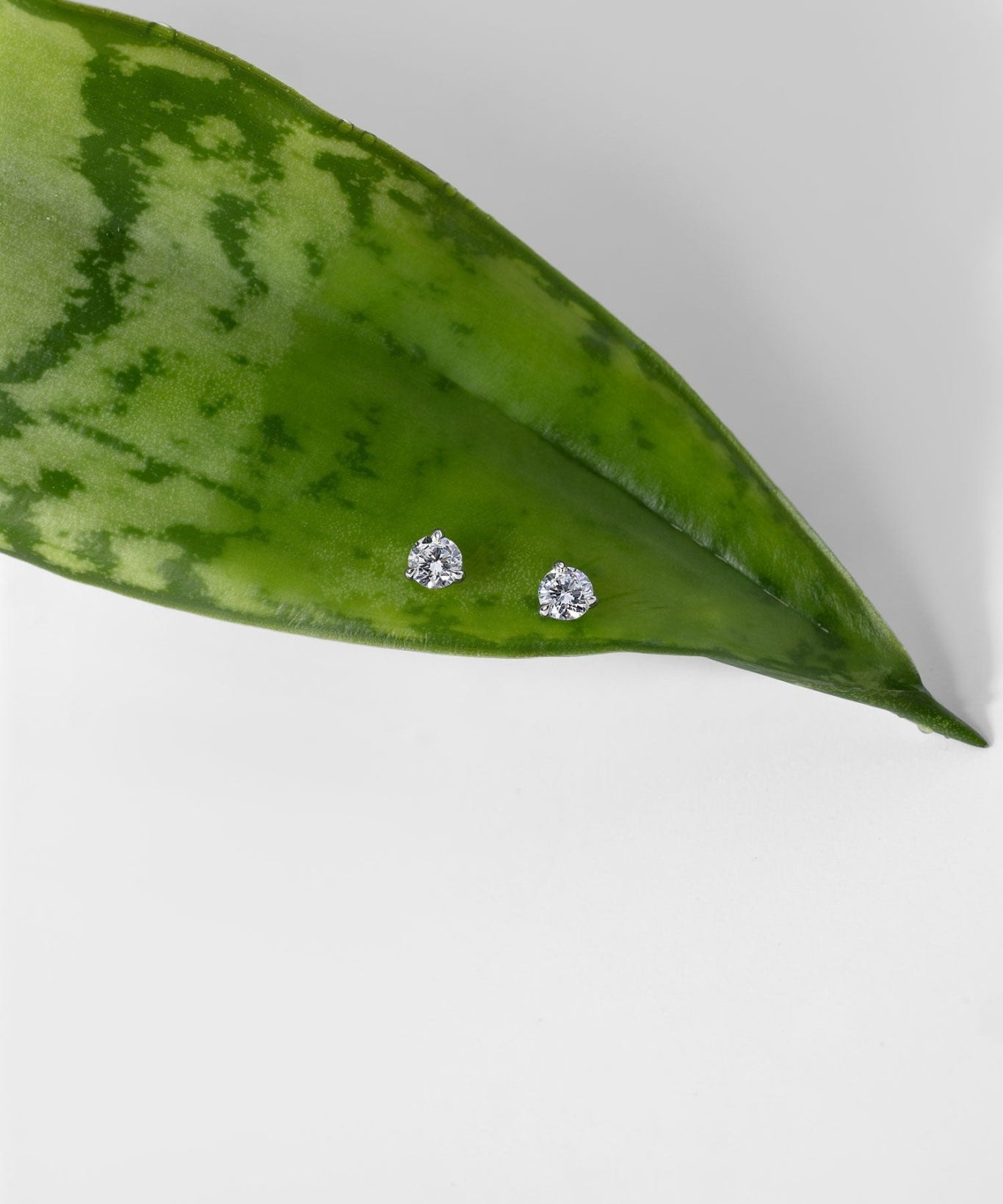 0.29ct Core Round Lab Diamond Martini Studs - PBD Earrings