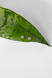 0.29ct Core Round Lab Diamond Martini Studs - PBD Earrings