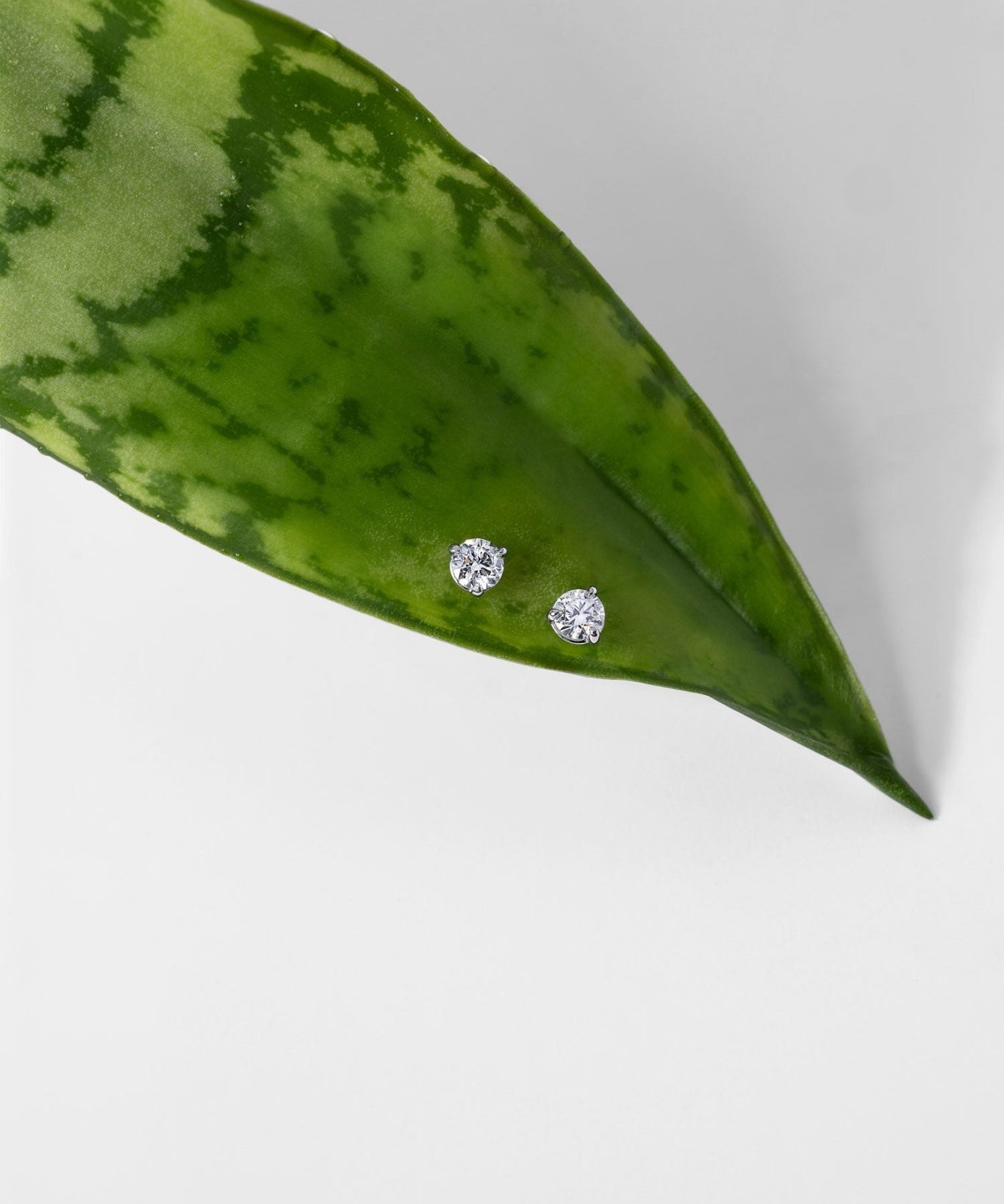 0.33ct Core Round Lab Diamond Martini Studs - PBD Earrings