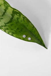 0.33ct Core Round Lab Diamond Martini Studs - PBD Earrings