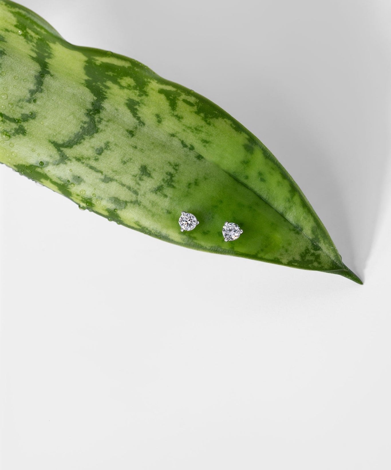 0.38ct Core Round Lab Diamond Martini Studs - PBD Earrings
