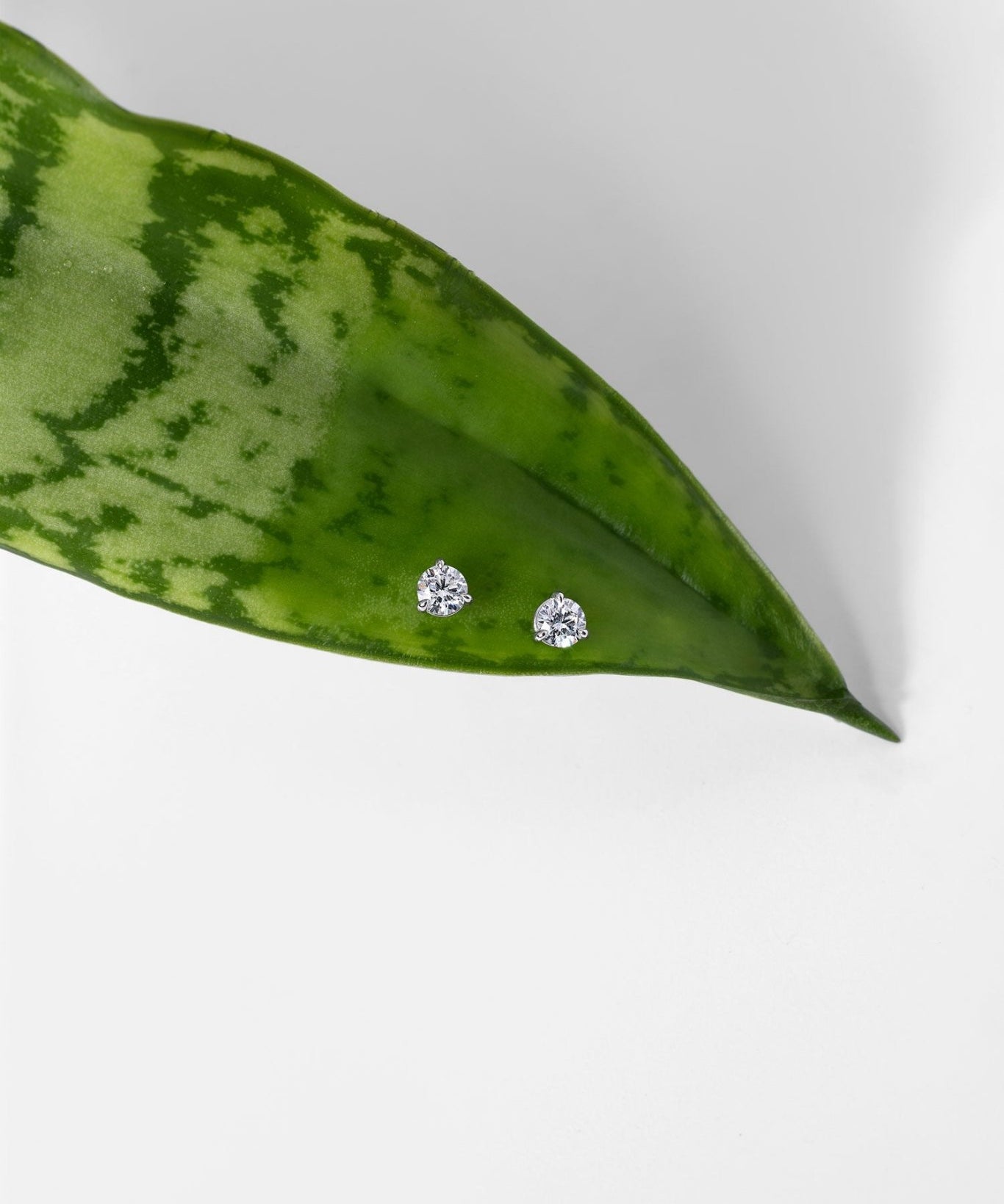 0.38ct Core Round Lab Diamond Martini Studs - PBD Earrings