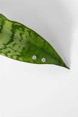 0.38ct Core Round Lab Diamond Martini Studs