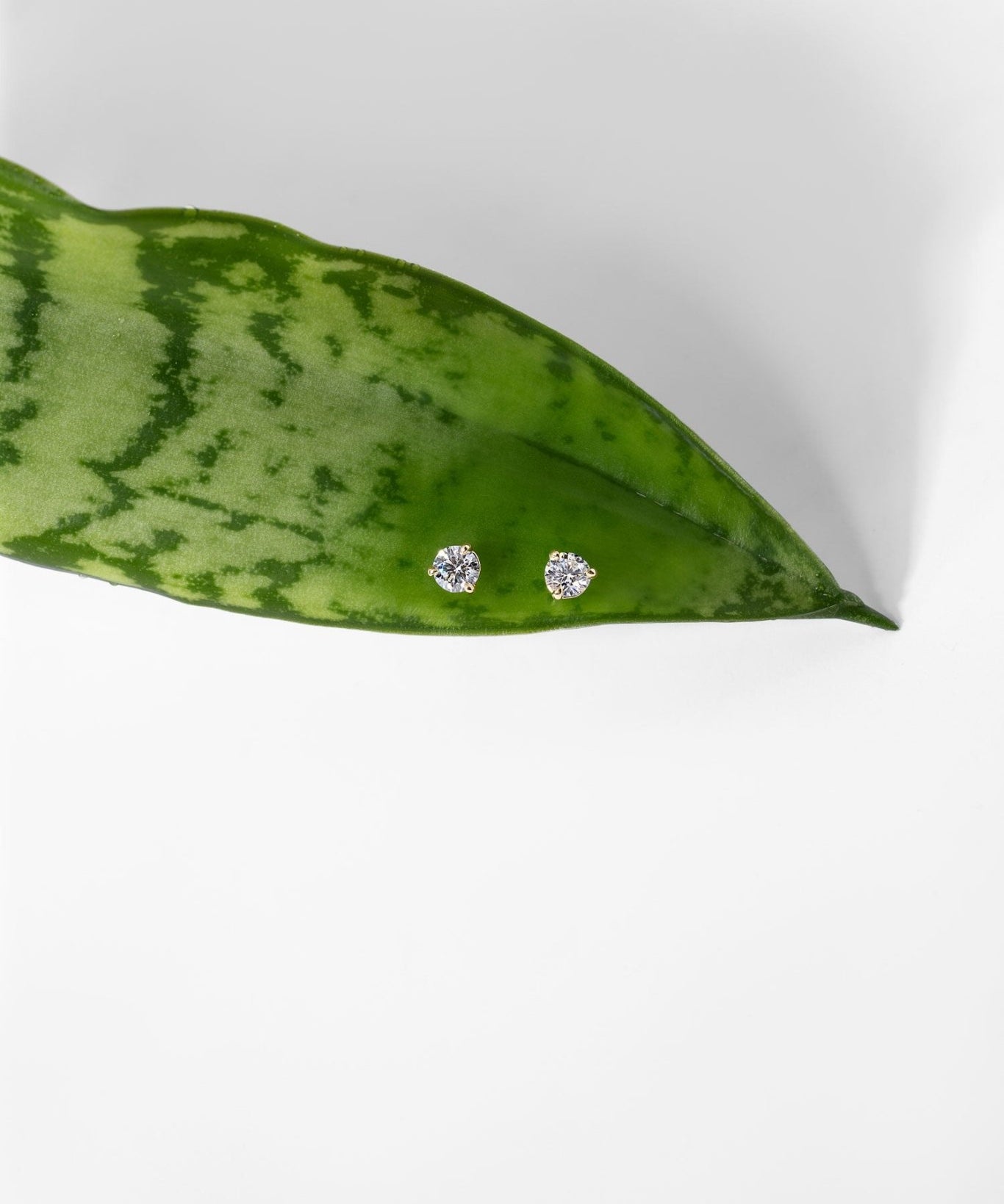 0.43ct Core Round Lab Diamond Martini Studs - PBD Earrings