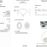1.03ct D-VS1 Oval Lab Diamond Sunnie Engagement Rings Princess Bride Diamonds 
