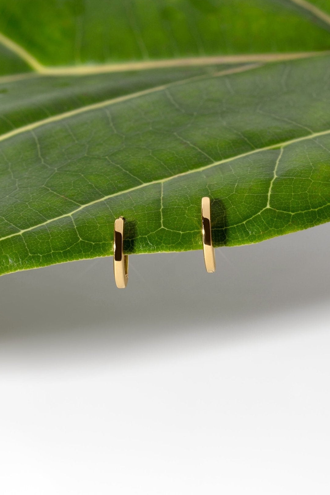 10x1.8mm Core High Polish Hoop 18k Yellow - PBD Earrings