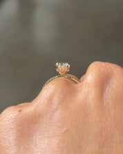 1.27ct D-VVS2 Oval Lab Diamond Stephanie - PBD Engagement Rings