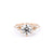 1.4mm Nova Round Engagement Rings Princess Bride Diamonds 