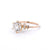 1.4mm Nova Round Engagement Rings Princess Bride Diamonds 