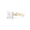 1.6mm Kayla Princess High Polish Engagement Rings Princess Bride Diamonds 