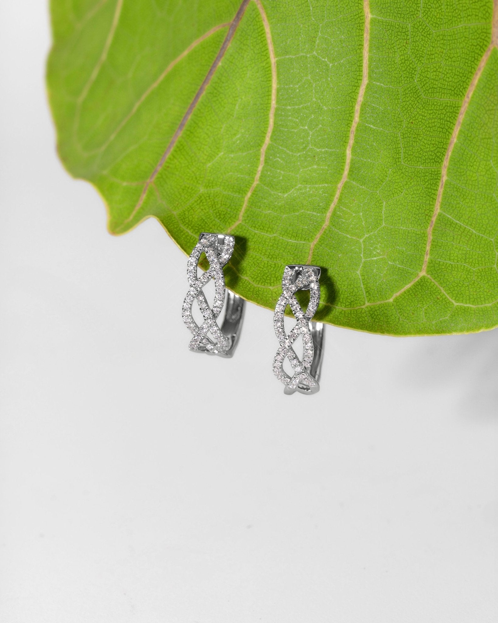 18mm 14k White Gold Pavé Braided Hoops - PBD Earrings