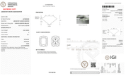 2.02 Carat E-VS1 Elongated Cushion Lab Grown Diamond - IGI (127403) - PBD Loose Diamond