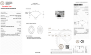 2.04 Carat E-VVS2 Oval Lab Grown Diamond - IGI (128069) - PBD Loose Diamond