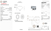 2.06 Carat E-VVS2 Oval Lab Grown Diamond - IGI (#128447) - PBD Loose Diamond