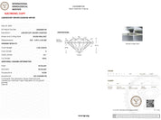 2.58 Carat D-VS1 Round Lab Grown Diamond - IGI (#50587) Loose Diamond Princess Bride Diamonds 