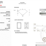 2.59ct D-VVS2 Emerald Lab Diamond Gracie Engagement Rings Princess Bride Diamonds 
