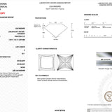 2.59ct E-VS1 Princess Lab Diamond Stephanie Engagement Rings Princess Bride Diamonds 