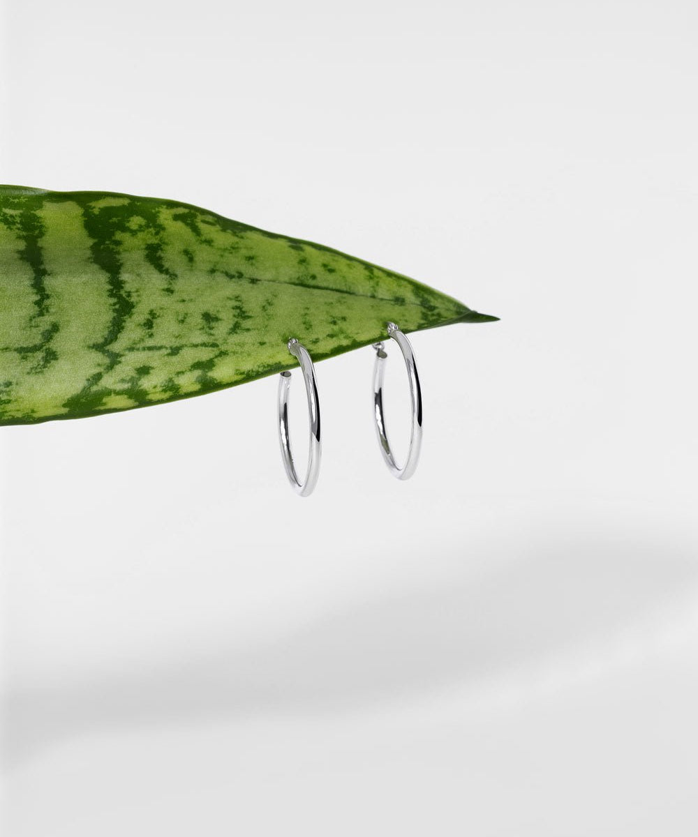 25x2mm Hollow High Polish Hoop 14k White - PBD Earrings