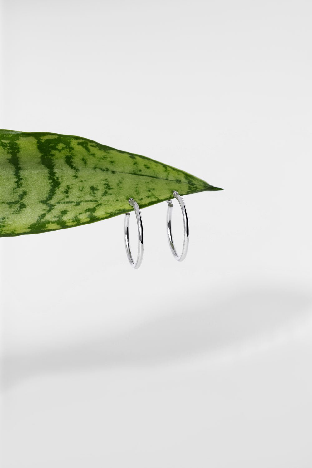 25x2mm Hollow High Polish Hoop 14k White - PBD Earrings