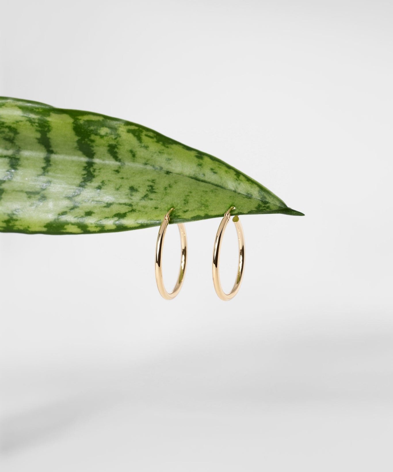 25x2mm Hollow High Polish Hoop 14k Yellow - PBD Earrings