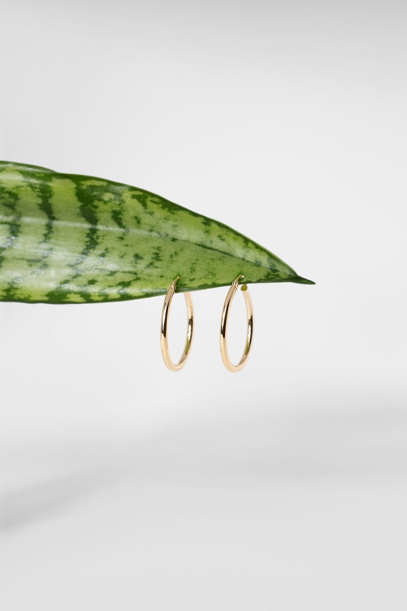 25x2mm Hollow High Polish Hoop 14k Yellow - PBD Earrings