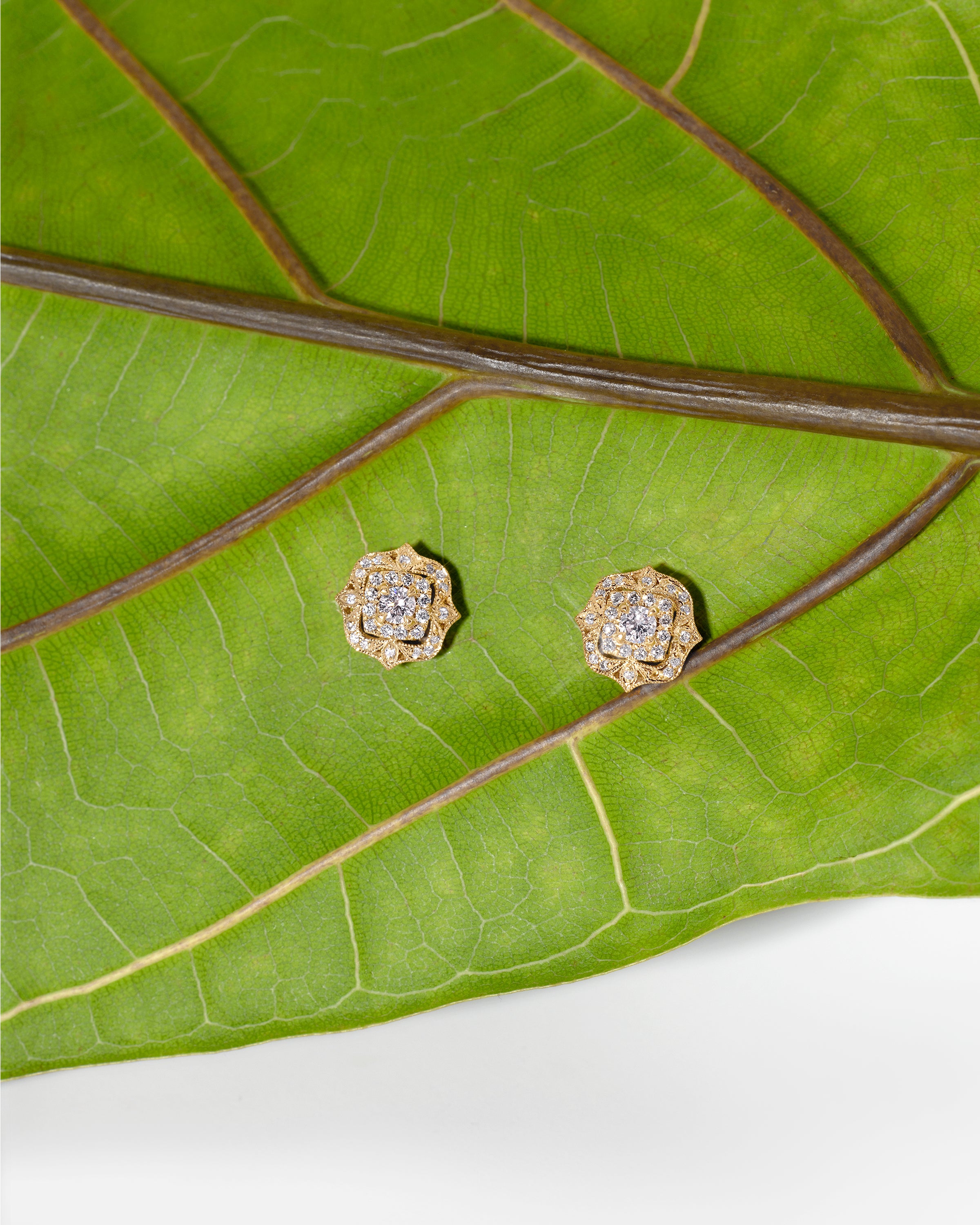 Pink Diamond Claire Earrings