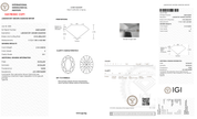 2.74 Carat E-VS1 Oval Lab Grown Diamond - IGI (127702) - PBD Loose Diamond