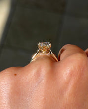 2.75ct E - VS1 Oval Lab Diamond Six Prong Victoria - PBD Engagement Rings