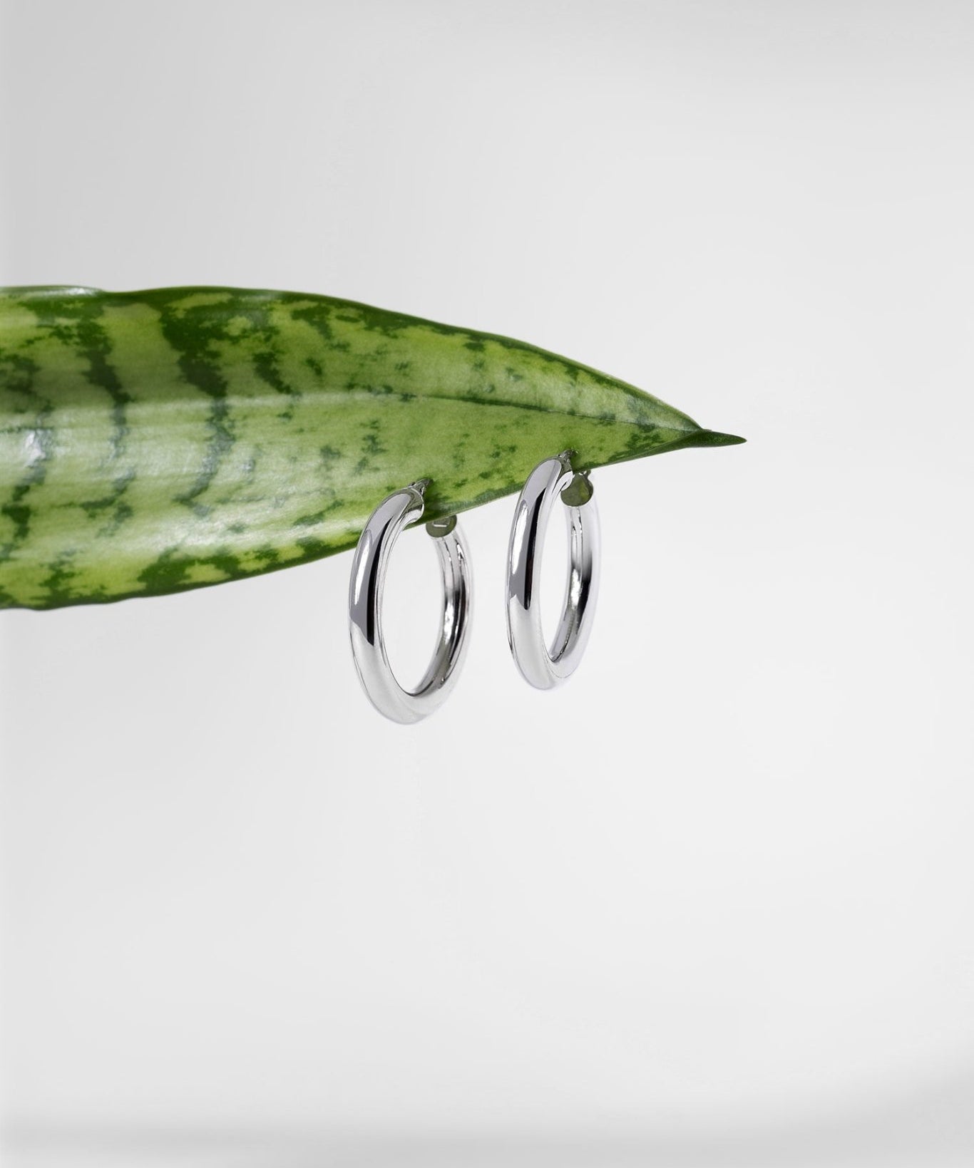 27x4mm Hollow High Polish Hoop 14k White - PBD Earrings