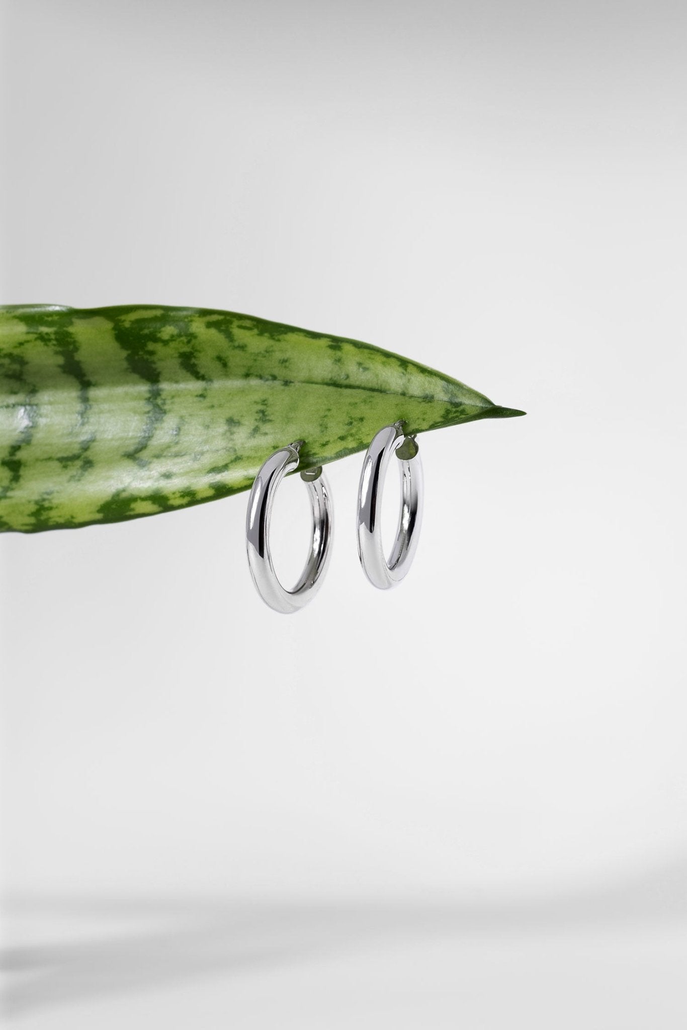 27x4mm Hollow High Polish Hoop 14k White - PBD Earrings