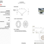 2.85ct E-VVS2 Oval Lab Diamond Lucia Engagement Rings Princess Bride Diamonds 