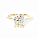 Hana Elongated Cushion High Polish