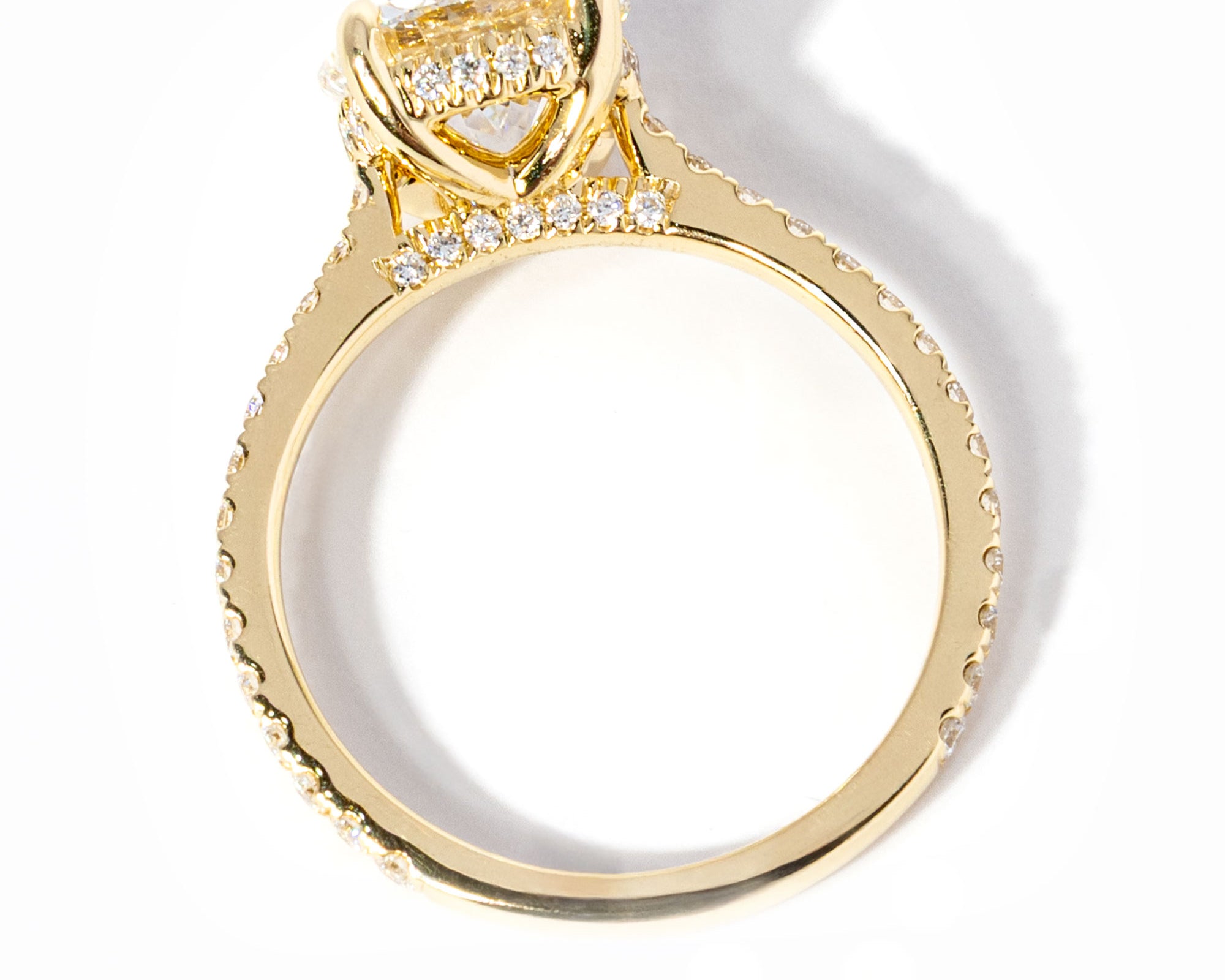 2ct-Round-Alice-flat_14e1540e-0803-4837-b4ae-2ecb8a69cca0.jpg