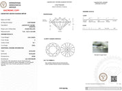 3.00 Carat E-VS1 Round Lab Grown Diamond - IGI (#49860) Loose Diamond Princess Bride Diamonds 