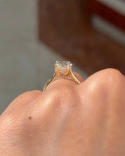 3.01ct E - VS1 Oval Lab Diamond Alice - PBD Engagement Rings